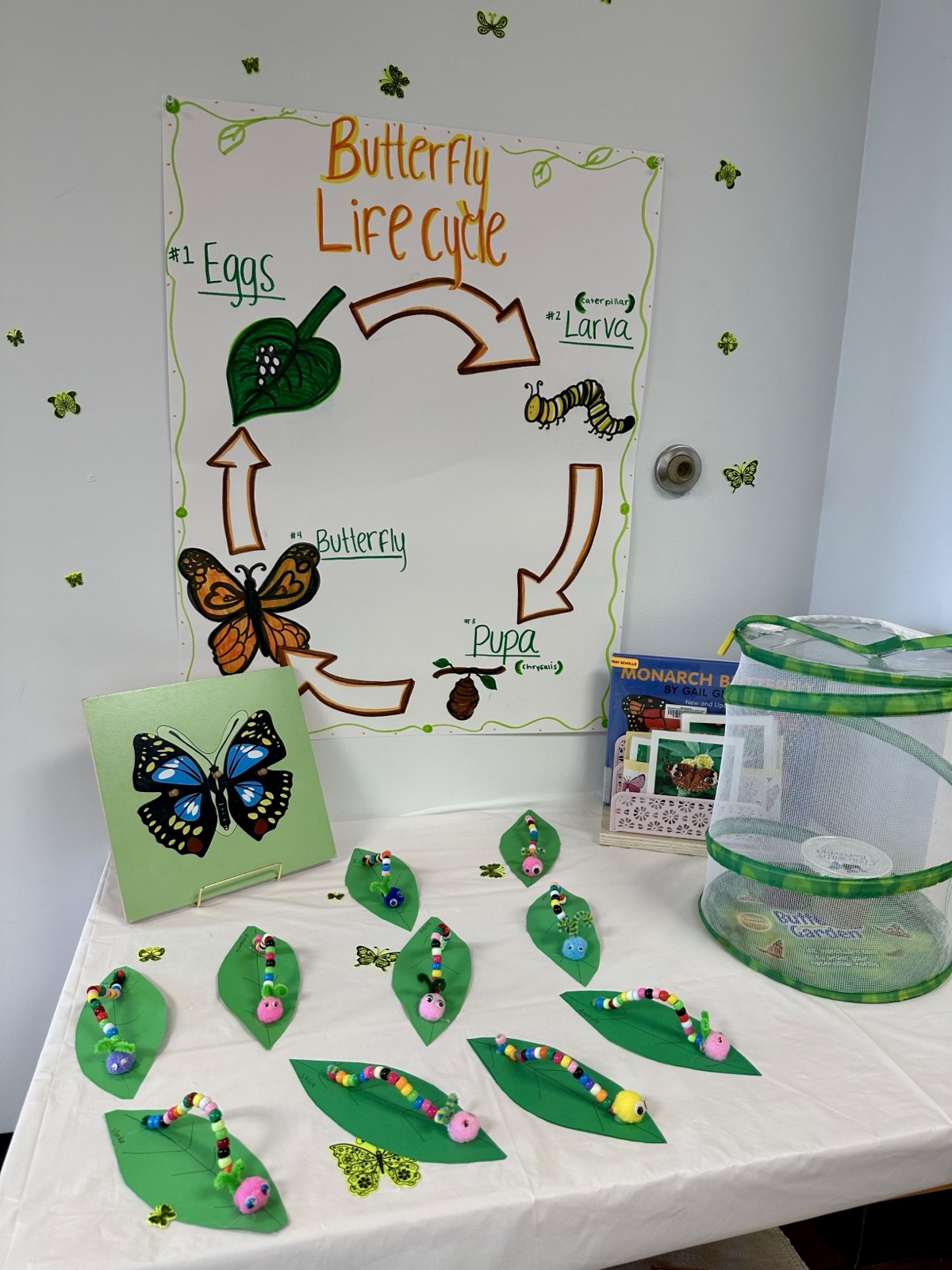 the butterfly life cycle, cultural studies